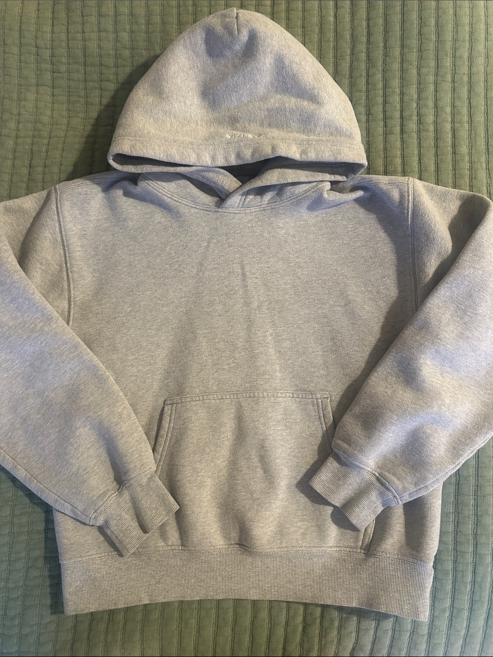 Gray Aritzia perfect fit hoodie